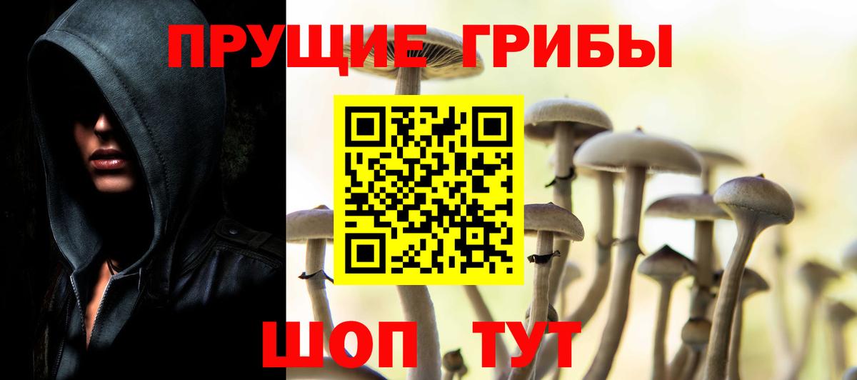 Ахтубинск  Псилоцибиновые грибы Psilocybe  Вход с VPN 