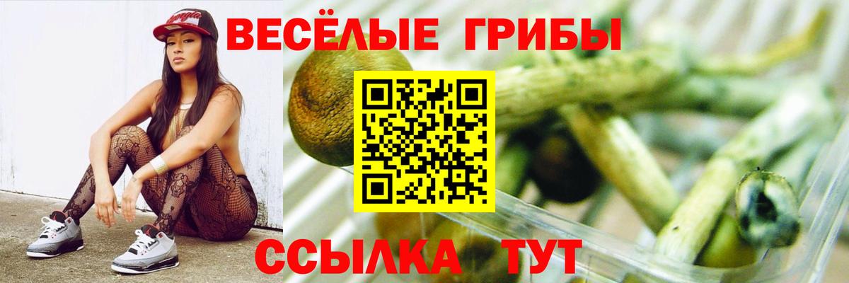 Галлюциногенные грибы MAGIC MUSHROOMS Ахтубинск